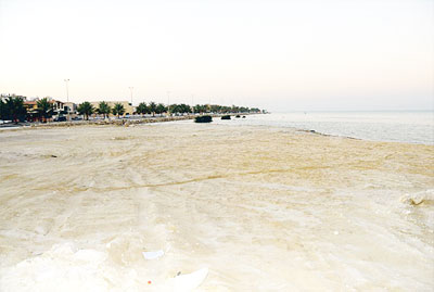 ���� �������� �� ������ �������