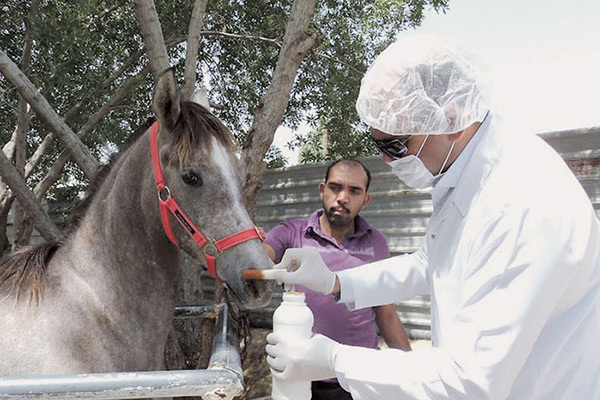 ���� ����� �������� ��������
