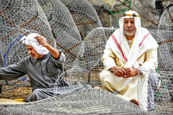 ������ ������� ����