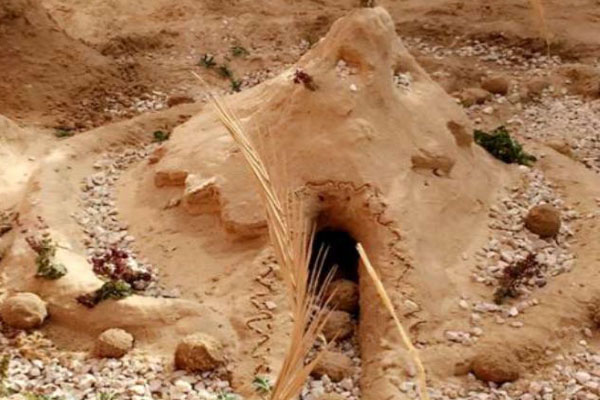 ������� �����