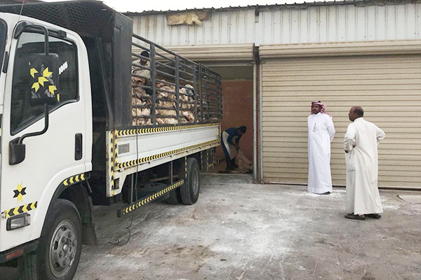 ���� �����