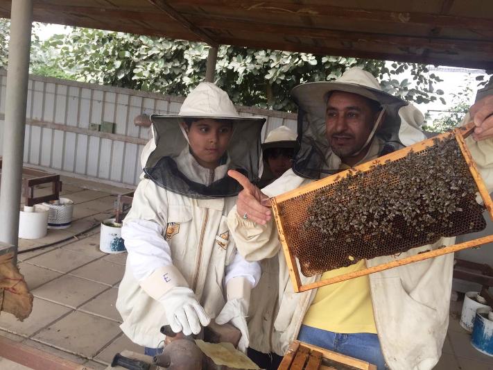 ���� ������� �� ����