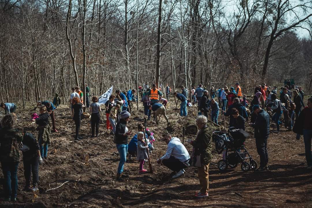 ������� �� ���� ����� ������� ������� ����� ���� ��������